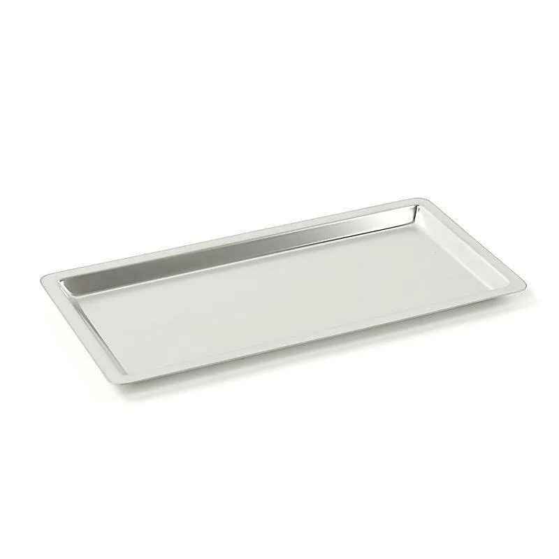 Stainless Steel Instrument Tray 21 x 11 x 0.8 cm Teqler photographed against a plain background.
